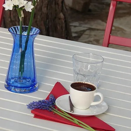Sari Konak Butik *