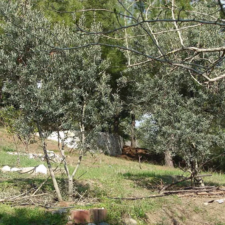 Sari Konak Butik Apartahotel Edremit (Balikesir)