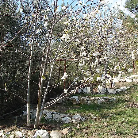 Sari Konak Butik Apartahotel Edremit (Balikesir)