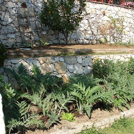 Sari Konak Butik Apartahotel