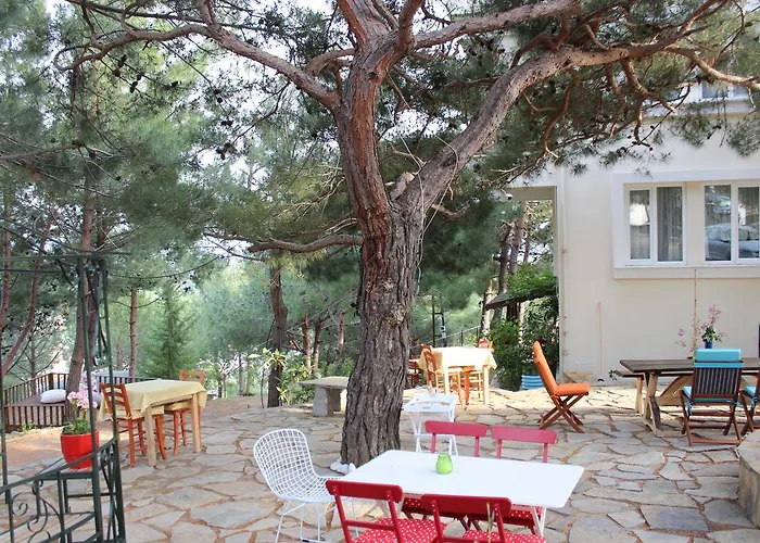 Sari Konak Butik アパートホテル エドレミト