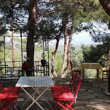 Sari Konak Butik * 埃德雷米特