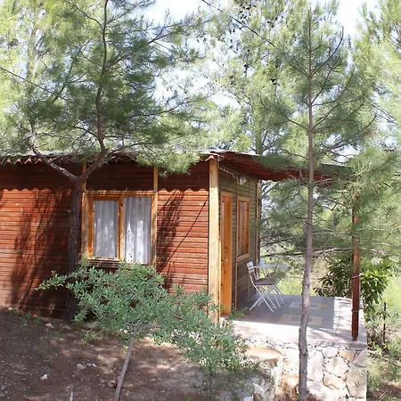 Sari Konak Butik 公寓式酒店