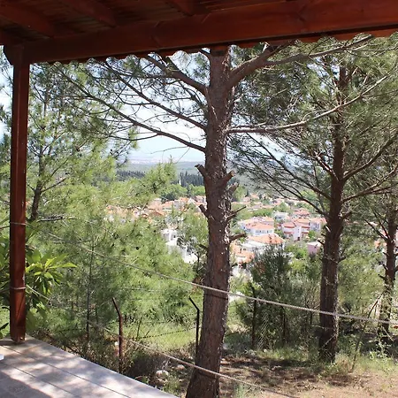 Sari Konak Butik * 埃德雷米特