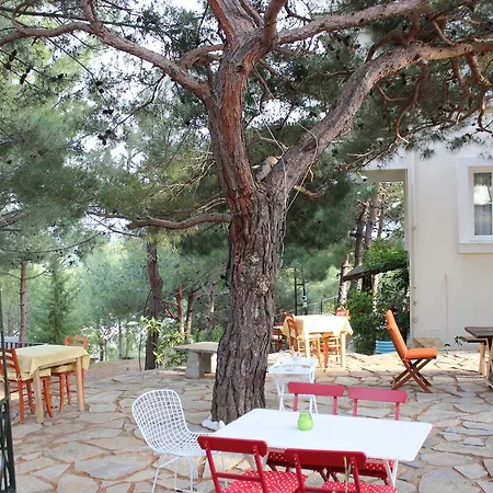 Sari Konak Butik Apart Otel Edremit (Balikesir)